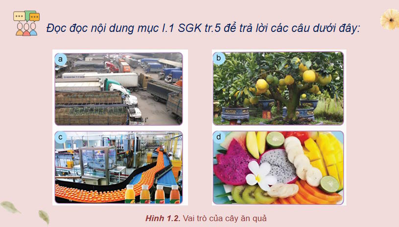 PowerPoint Công nghệ 9 Trồng cây ăn quả