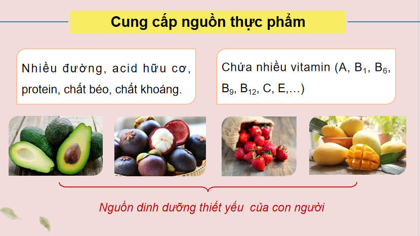 PowerPoint Công nghệ 9 Trồng cây ăn quả
