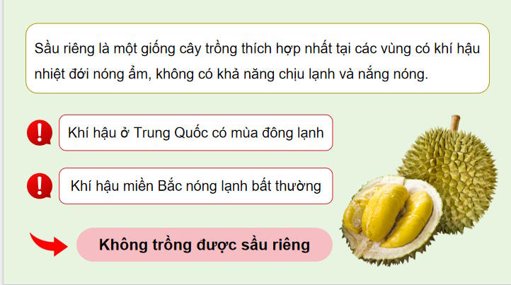 PowerPoint Công nghệ 9 Trồng cây ăn quả