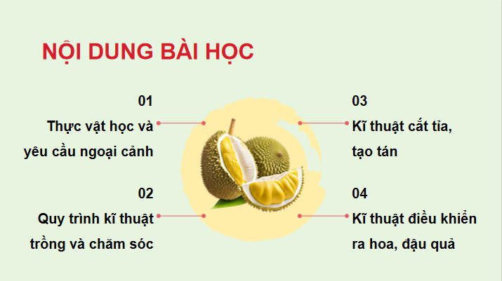 PowerPoint Công nghệ 9 Trồng cây ăn quả