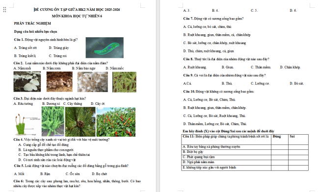 Đề cương giữa học kì 2 môn Khoa học tự nhiên 6 sách Cánh diều