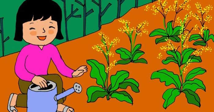 Giáo án Tiết học thư viện lớp 5