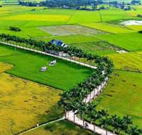 Giáo án Tiết đọc thư viện lớp 3: Tiết 8