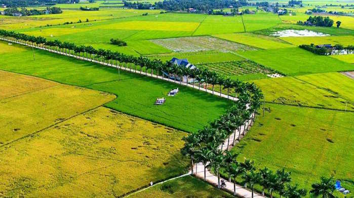 Giáo án Tiết học thư viện lớp 3