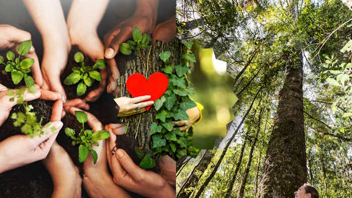 Giáo án Tiết học thư viện lớp 5