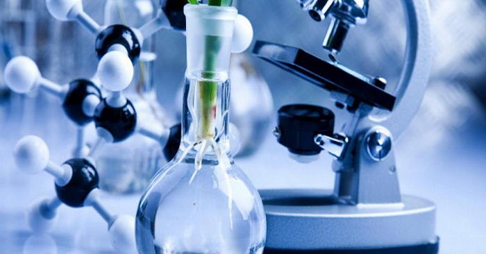 Đề thi giữa học kì 2 môn Khoa học 5 năm 2025 - 2026 sách Kết nối tri thức với cuộc sống