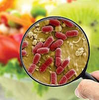 Giáo án Sinh hoạt tập thể lớp 1 chủ đề Em quý trọng bản thân tuần 20