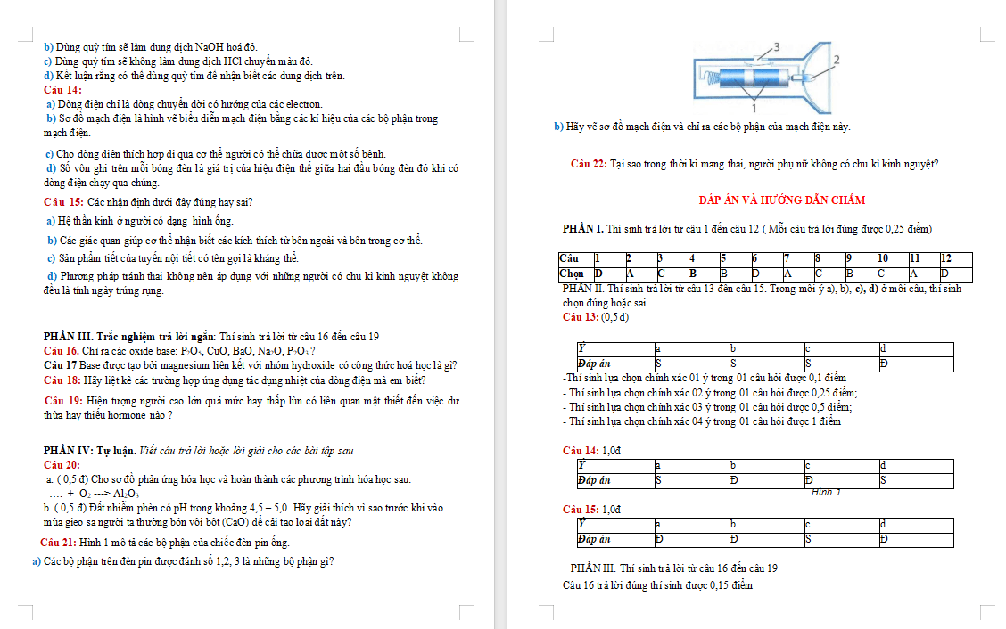 Đề ôn tập giữa học kì 2 Khoa học tự nhiên 8