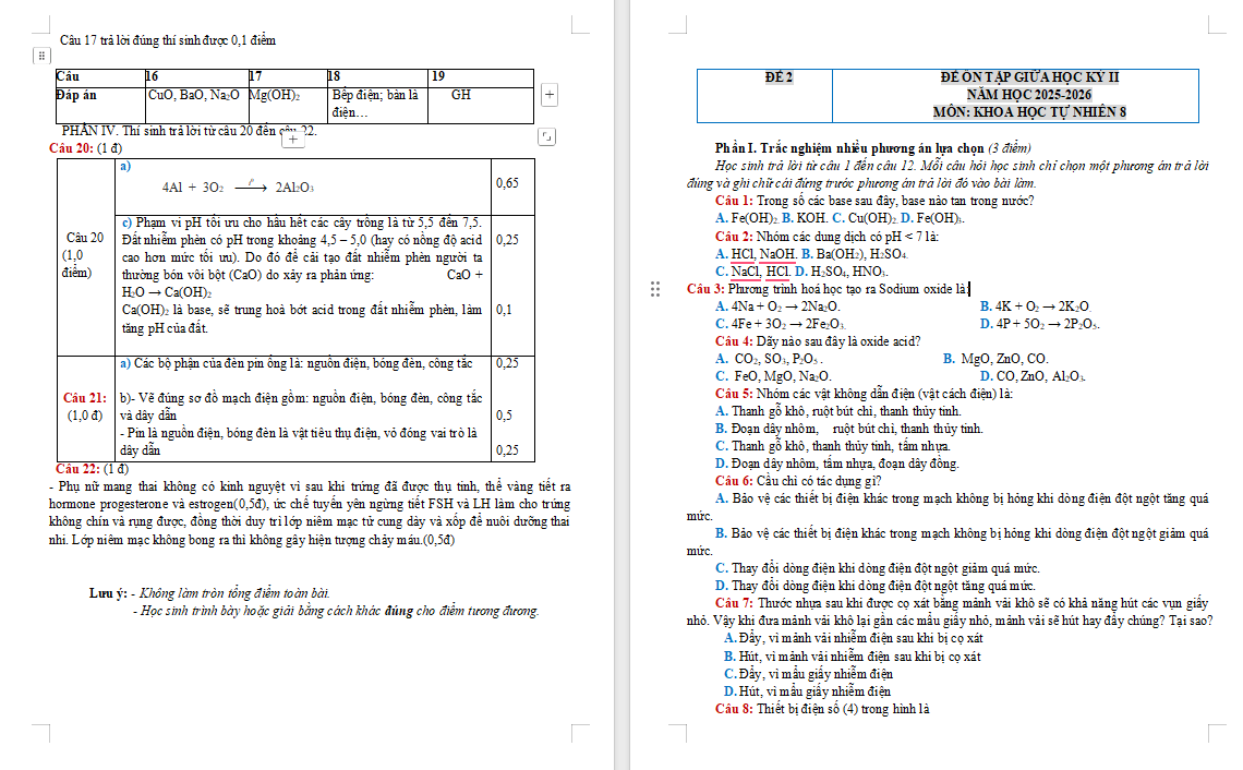 Đề ôn tập giữa học kì 2 Khoa học tự nhiên 8