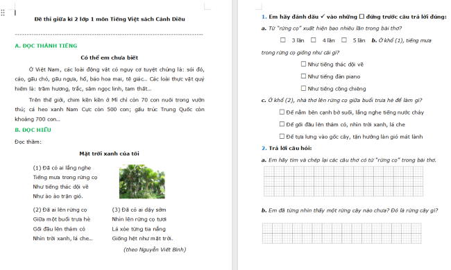 Đề thi giữa học kì 2 môn Tiếng Việt lớp 1 Cánh diều