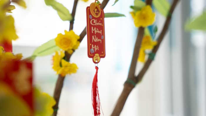 Giáo án Sinh hoạt tập thể lớp 1