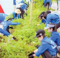 Giáo án Sinh hoạt tập thể lớp 1 chủ đề Tham gia hoạt động cộng đồng tuần 27