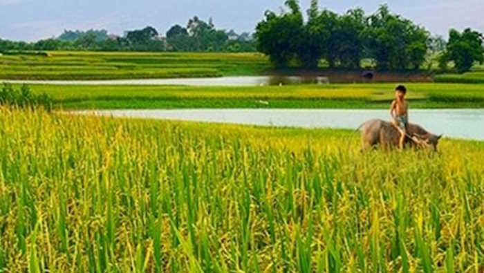 Giáo án Sinh hoạt tập thể lớp 1