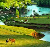 Giáo án Sinh hoạt tập thể lớp 1 chủ đề Quê hương tươi đẹp tuần 31