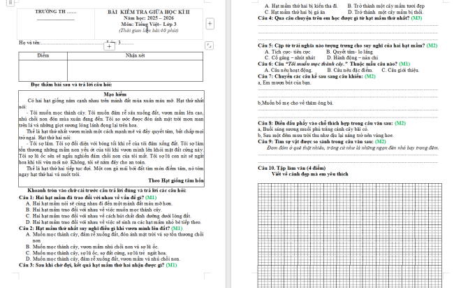 Đề thi giữa học kì 2 môn Tiếng Việt 3 sách Kết nối tri thức