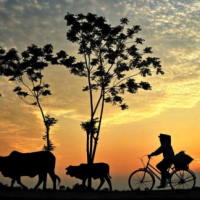 Giáo án PowerPoint Tiếng Việt 2 Bài 4: Mở rộng vốn từ Quê hương (tiếp theo). Nghe - kể Sự tích Hồ Gươm