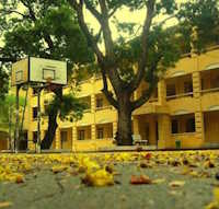 Giáo án PowerPoint Âm nhạc 1 Tuần 12 Chủ đề 3: Mái trường thân yêu