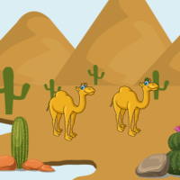 Giáo án PowerPoint Tiếng Việt 3 Bài 12: Phép mầu trên sa mạc