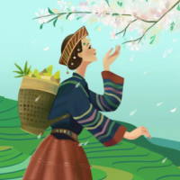 Giáo án PowerPoint Tiếng Việt 3 Bài 14: Nhớ Việt Bắc