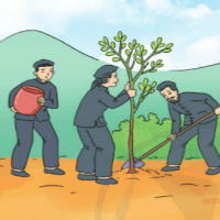 Giáo án PowerPoint Tiếng Việt 3 Bài 14: Kể chuyện Rừng gỗ quý