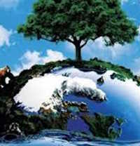  Giáo án PowerPoint Tự nhiên và xã hội 1 bài 16: Chăm sóc và bảo vệ cây trồng