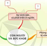 Giáo án PowerPoint Tự nhiên và xã hội 1 bài 25: Ôn tập chủ đề Con người và sức khỏe