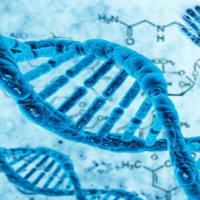 Đề thi thử THPT Quốc gia năm 2026 môn Sinh học trường THPT Lương Đắc Bằng, Thanh Hóa