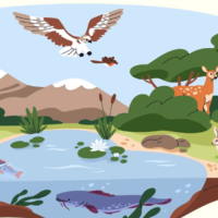 Đề thi thử THPT Quốc gia năm 2026 môn Sinh học trường THPT Tĩnh Gia 1, Thanh Hóa