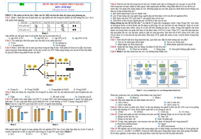 Đề thi thử THPT Quốc gia năm 2026 môn Sinh học