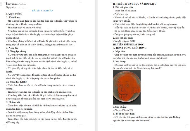 Giáo án Khoa học tự nhiên 6 Bài 25: Vi khuẩn