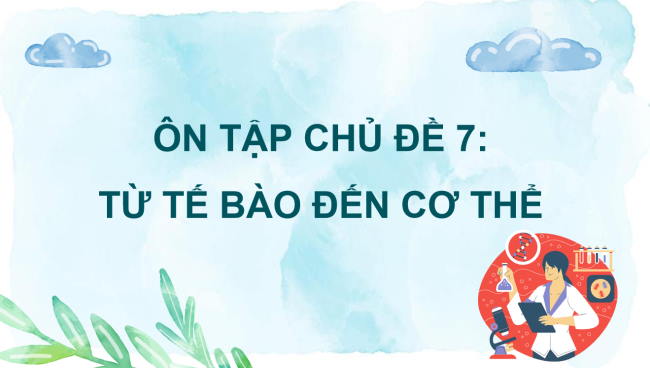 PowerPoint Khoa học tự nhiên 6 Ôn tập chủ đề 7