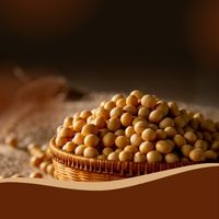 Tài liệu Kỹ thuật trồng và chăm sóc cây đậu tương