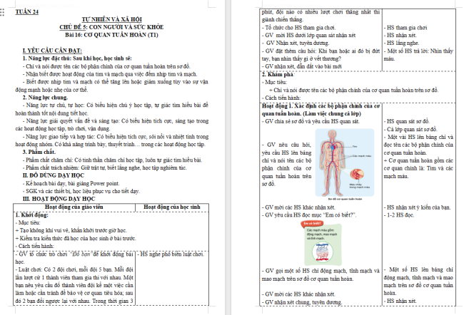 Giáo án Tự nhiên và xã hội 3 Bài 16: Cơ quan tuần hoàn