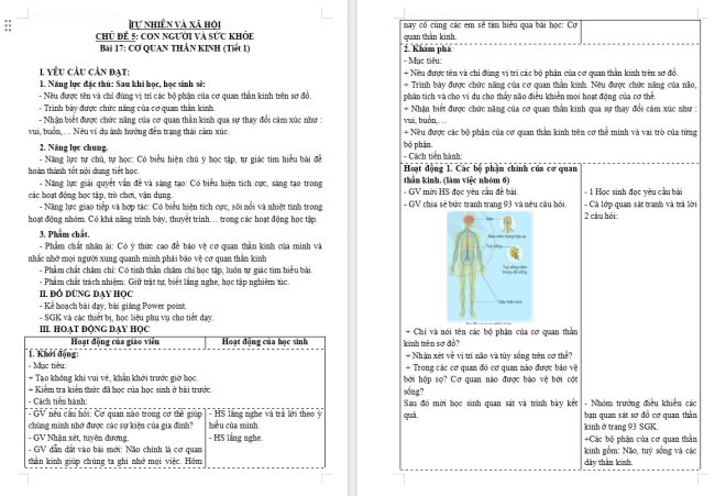 Giáo án Tự nhiên và xã hội 3 Bài 17: Cơ quan thần kinh