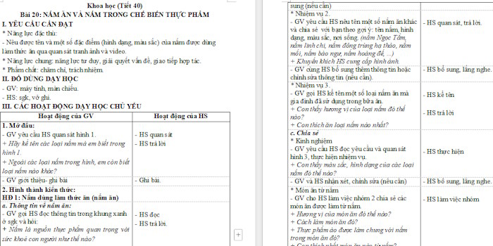 Giáo án Khoa học 4: Nấm ăn và nấm trong chế biến thực phẩm