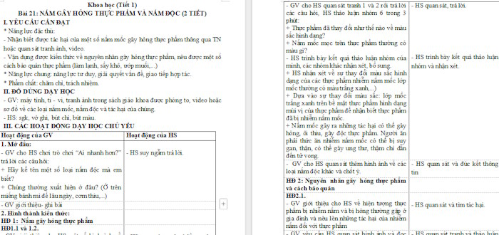 Giáo án Khoa học 4: Nấm gây hỏng thực phẩm và nấm độc