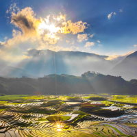 Giáo án PowerPoint Đạo đức 3 Bài 12: Việt Nam tươi đẹp