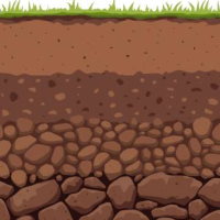 Giáo án PowerPoint Địa lí 6 Bài 19: Lớp đất và các nhân tố hình thành đất. Một số nhóm đất điển hình