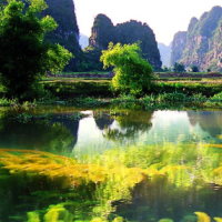 Giáo án PowerPoint Địa lí 6 Bài 21: Thực hành tìm hiểu môi trường tự nhiên qua tài liệu và tham quan địa phương