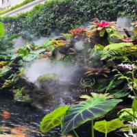 Giáo án PowerPoint Địa lí 6 Bài 22: Sự đa dạng của thế giới sinh vật. Các đới thiên nhiên trên Trái Đất. Rừng nhiệt đới