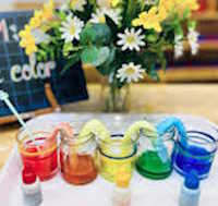 Giáo án mầm non: Sự kỳ diệu của màu sắc