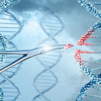 Đề thi thử THPT Quốc gia năm 2026 môn Sinh học sở GD&ĐT Phú Thọ