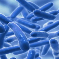 Đề thi thử THPT Quốc gia năm 2026 môn Sinh học Liên trường THPT Đà Nẵng