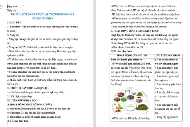 Giáo án Khoa học tự nhiên 6 Bài 20: Vai trò của thực vật trong đời sống và trong tự nhiên