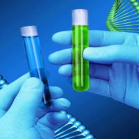 Đề thi thử THPT Quốc gia năm 2026 môn Sinh học Sở GD&ĐT Quảng Trị