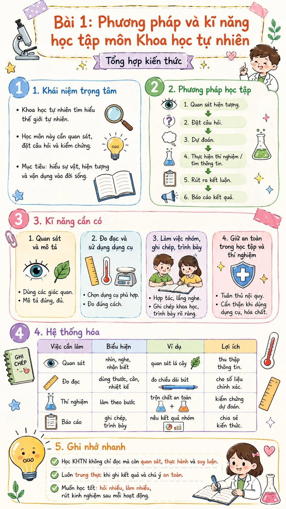 Infographic lý thuyết Khoa học tự nhiên 7