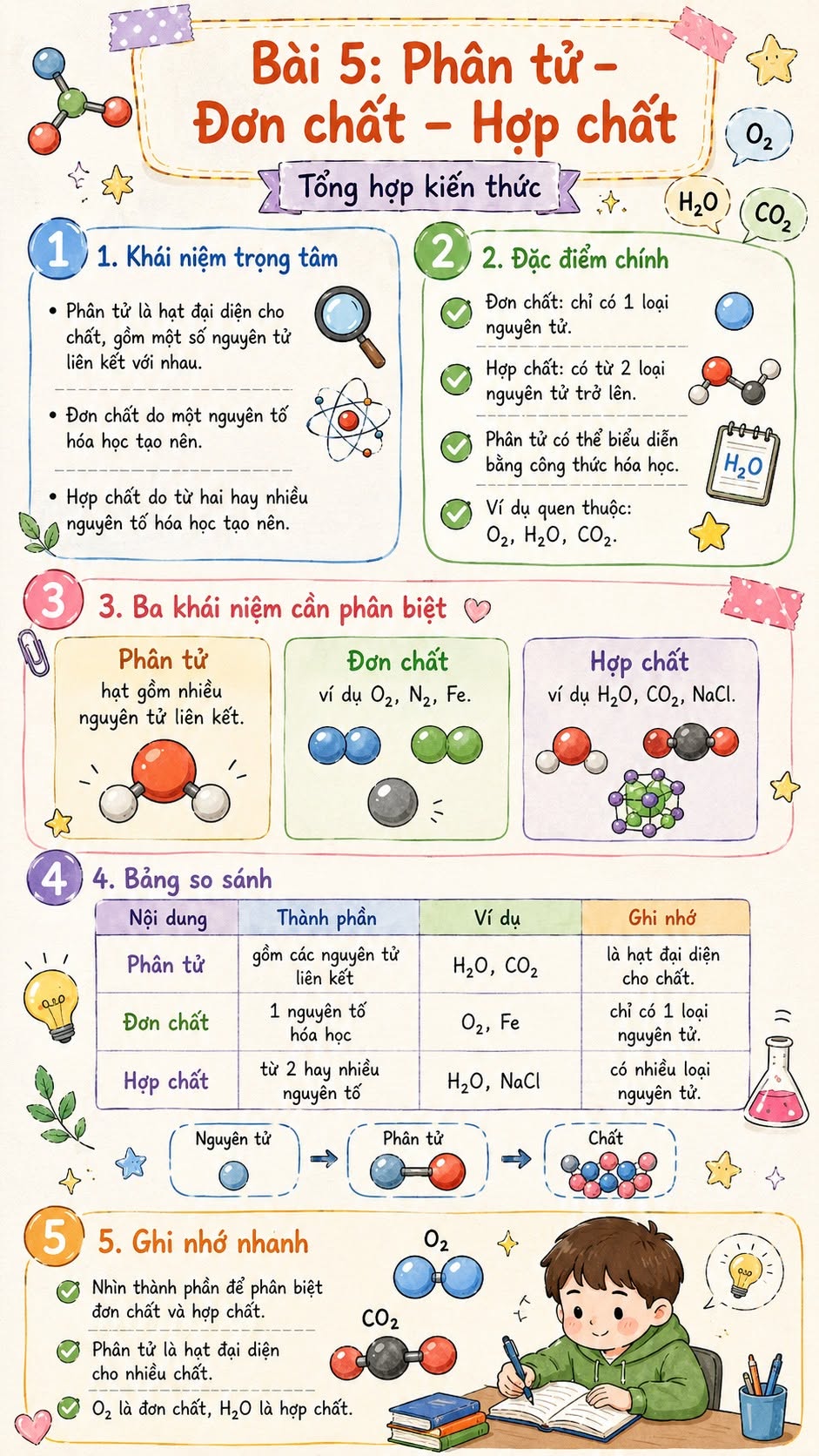 Infographic lý thuyết Khoa học tự nhiên 7