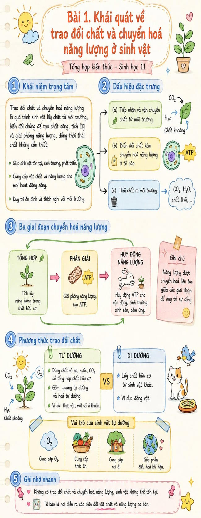Infographic lý thuyết Sinh học 11