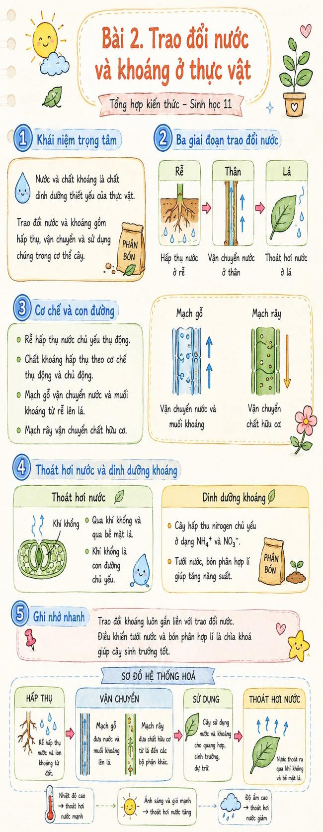 Infographic lý thuyết Sinh học 11 Bài 2