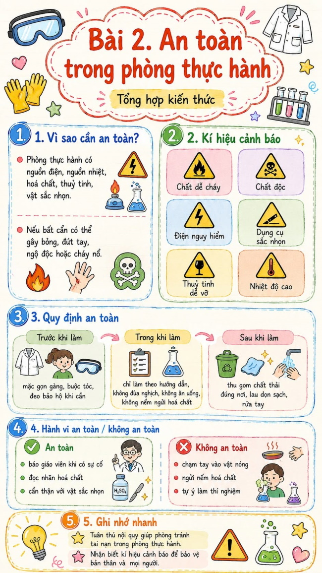 Infographic lý thuyết Khoa học tự nhiên 6